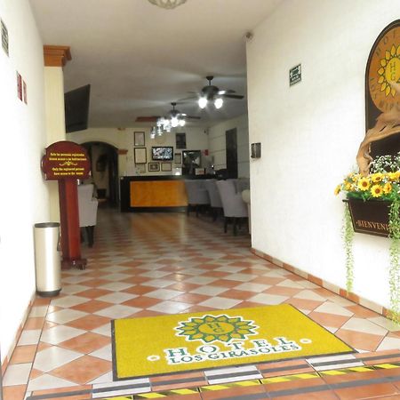 Hotel Los Girasoles Tepic Bagian luar foto